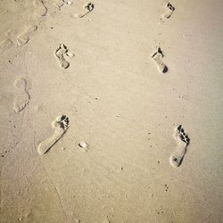 High angle view of footprints on beach