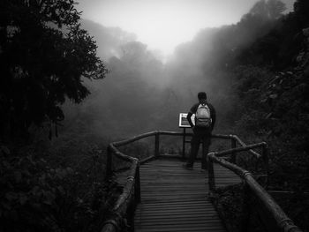 Rear view of backpack man standing at observation point in forest during foggy weather