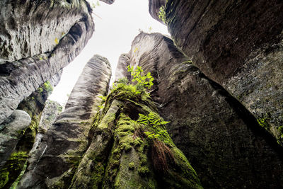 Low angle view of rocks against mountains