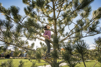 Playful girl climbing on tree at park