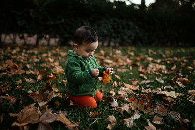 Toddler playing with autumn leaves