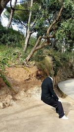 Low section of woman standing on tree trunk