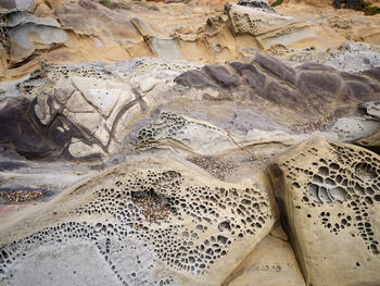 Tafoni rock and cavernous formation at bean hollow state beach, ca