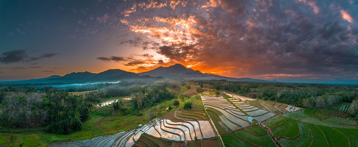 landscape