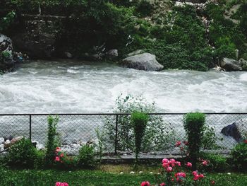 Scenic view of waterfall by sea