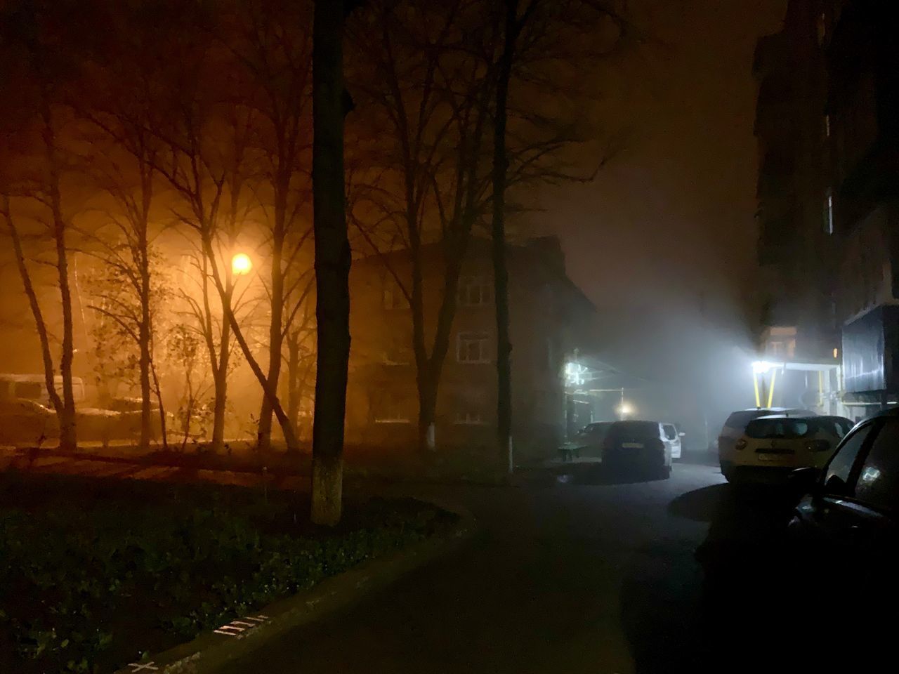 VIEW OF STREET AT NIGHT