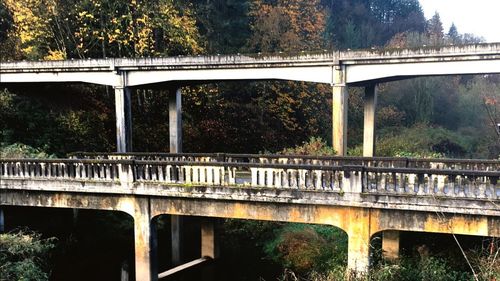 Bridge over water against trees