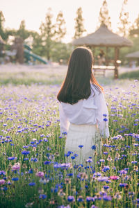 Rear view of woman standing amidst flowering plants