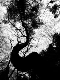 Low angle view of bare tree against sky