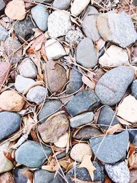 High angle view of stones