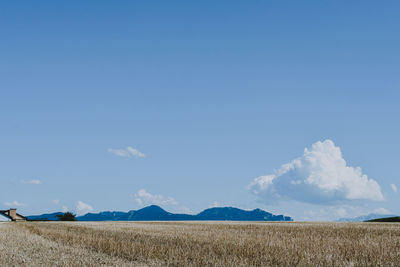 Panoramic view of agricultural field against blue sky