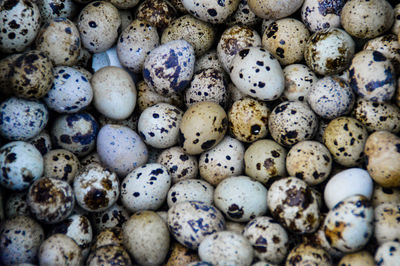 Full frame shot of quail eggs in the market