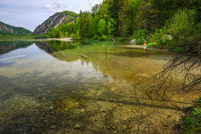 Scenic view of lake in forest against sky