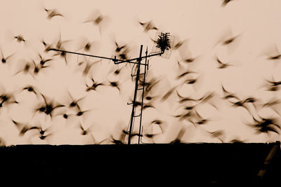 Low angle view of silhouette birds flying against clear sky