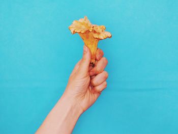 Cropped image of hand holding mushroom against turquoise background