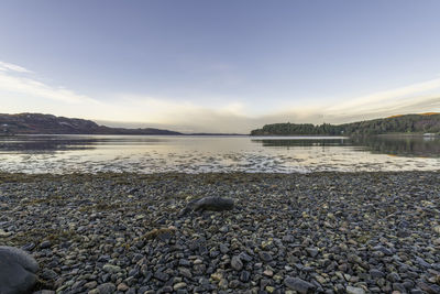 Scenic view of beach against sky