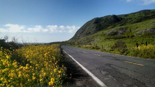 Country road leading towards mountains