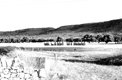 Scenic view of field against clear sky