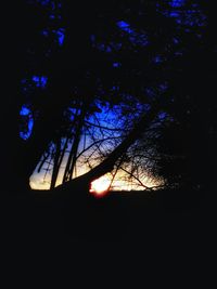 Low angle view of silhouette trees against sky at night