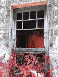 Window of abandoned building