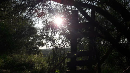 Low angle view of silhouette trees against sky