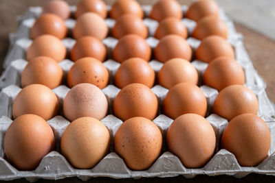 High angle view of eggs in container