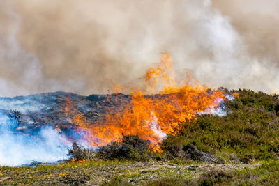 View of land set on fire