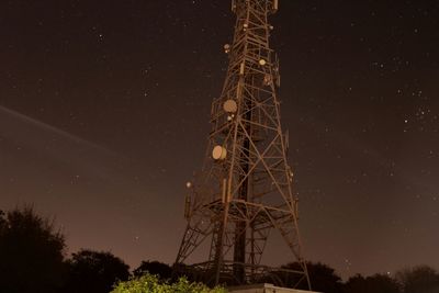 Low angle view of tree against sky at night