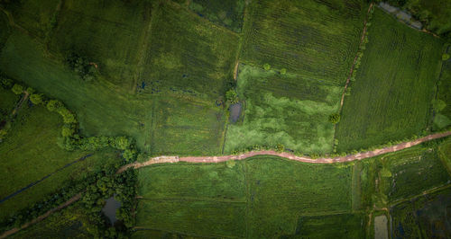 View of green landscape