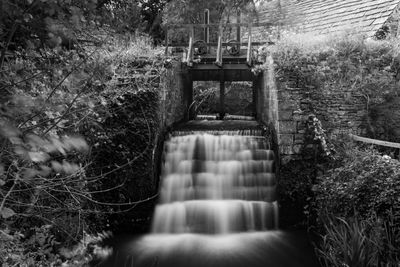 Blurred motion of hand against trees