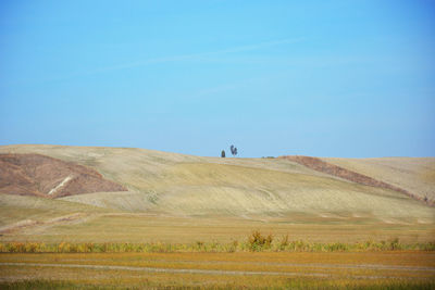 Scenic view of field against clear blue sky