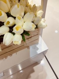 High angle view of white flowers on table