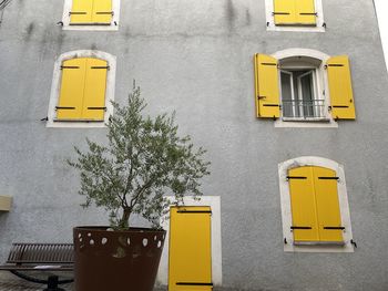 Close-up of yellow windows and door on grey wall