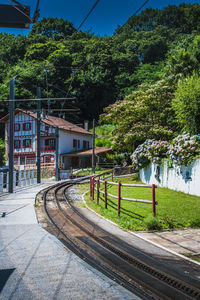 Railroad tracks by street and trees against sky