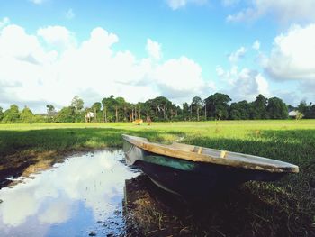 Panoramic shot of trees on field against sky