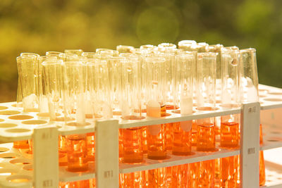 Close-up of test tubes in rack