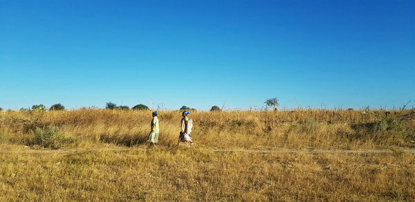 Panoramic view of field against clear sky