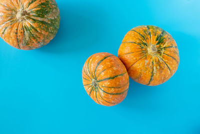 Directly above shot of pumpkins against blue background