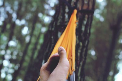 Low section of person relaxing on hammock in forest