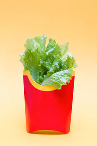 Close-up of red chili pepper against white background