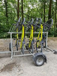 Chairs and trees in field