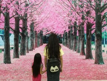 Rear view of woman with pink cherry blossoms in park