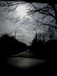 Silhouette of trees at sunset