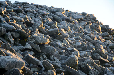 Close-up of pebbles on beach against clear sky