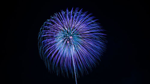 Low angle view of fireworks against black background