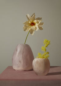 Close-up of white flower pot on table