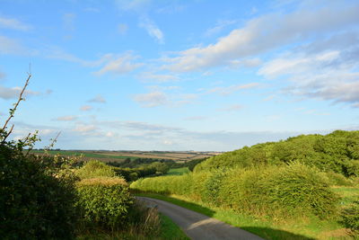 Scenic view of road amidst trees against sky