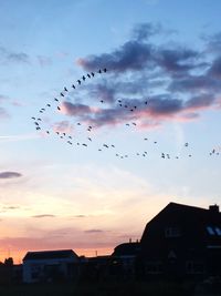 Birds flying over silhouette city against sky during sunset