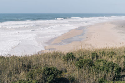 Scenic view of beach against sky