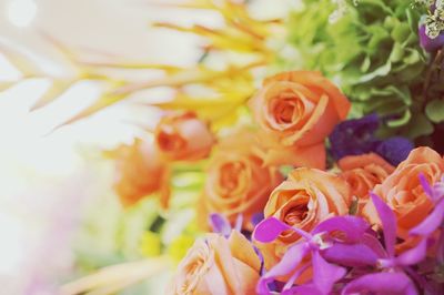 Close-up of rose bouquet